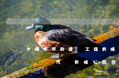 十堰市市政建設工程有限責任公司王洪玉因與東風汽車有限公司合資、合作開發(fā)房地產合同糾紛申請再審民事裁定